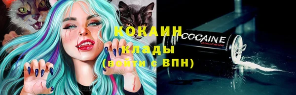 молекула духа Богородск