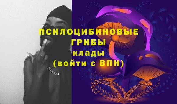 молекула духа Богородск