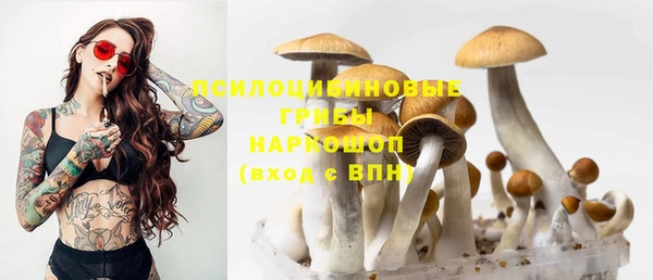MDMA Premium VHQ Богородицк